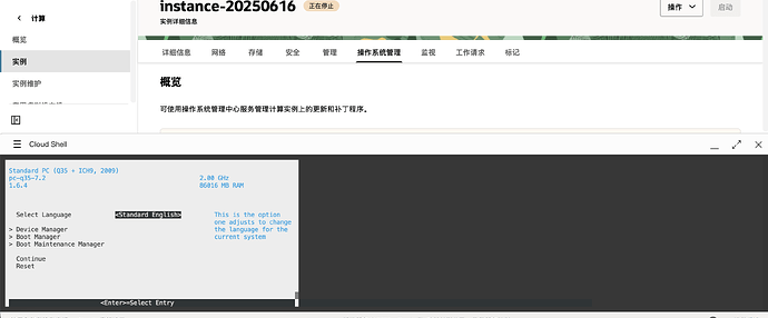 这是一个显示云服务器实例管理界面的屏幕截图,其中有一个弹出窗口用于选择默认语言。 (由 AI 生成标题)