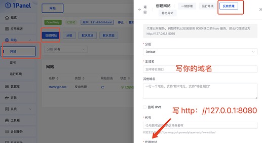 这张图片显示了一个名为 "1Panel" 的Web管理面板的界面，用户正在配置一个反向代理网站，其中需要填写主域名和代理地址，并提供了示例  作为参考。 (由 AI 生成标题)