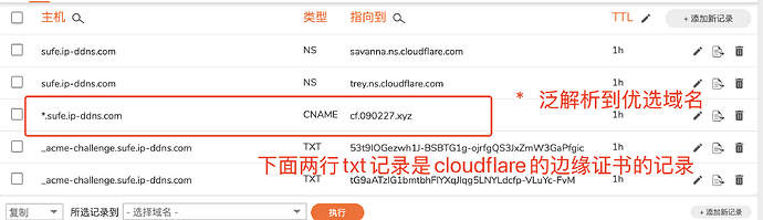 这张截图显示了一个域名设置界面，其中包含 NS、CNAME 和 TXT DNS 记录，特别是与  相关的记录。 (由 AI 生成标题)