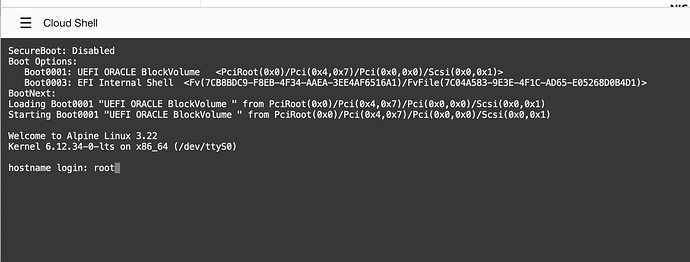 这是一个显示启动信息和登录提示的终端界面。 (由 AI 生成标题)