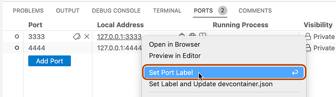 转发端口的弹出菜单截图，“设置端口标签”选项用橙色轮廓高亮显示。