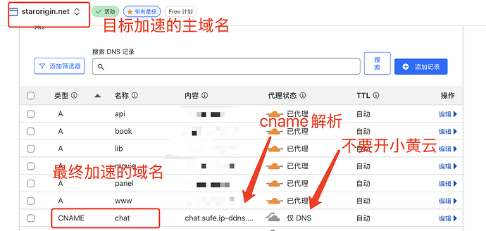 这张截图显示了的目标加速域名配置，其中包含多个A记录和一条记录，的代理状态为仅DNS。 (由 AI 生成标题)