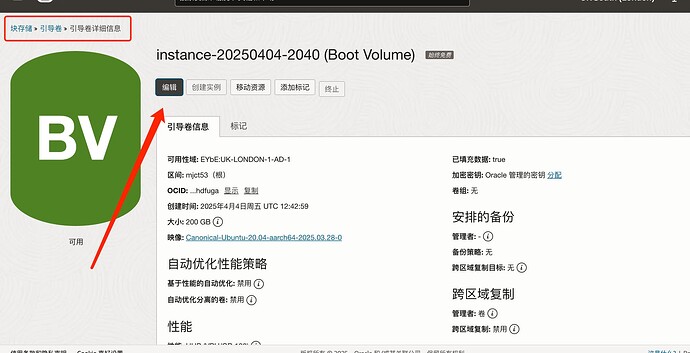 这张图片显示了一个云服务器实例的启动卷页面，左上角有一个绿色图标，旁边标注了“阿里云”和“云服务器”。 (由 AI 生成标题)