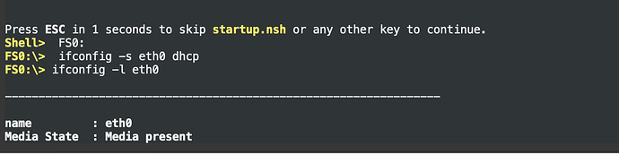 这是一个终端窗口,显示了启动默认的startup.nsh脚本,并执行了ifconfig命令以配置eth0网络接口为DHCP。 (由 AI 生成标题)