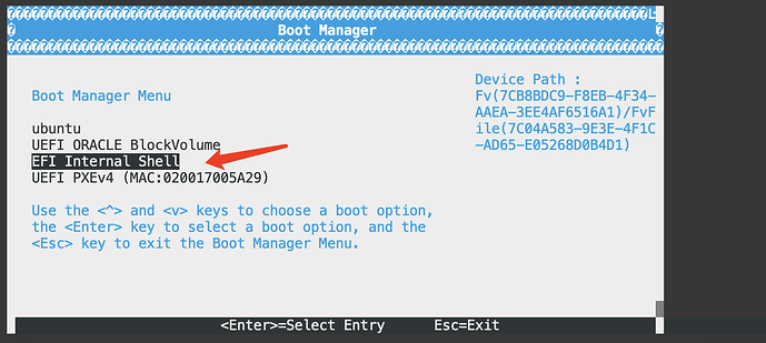 启动菜单显示了多个启动选项,其中一个选项是“UEFI ORACLE BlockVolume” (由 AI 生成标题)