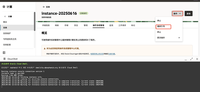 用户正在查看实例20250616的详情页面,其中显示了实例的状态为‘运行中’。 (由 AI 生成标题)