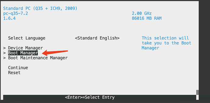 屏幕显示了一个启动管理器的界面,‘Device Manager’选项被高亮选中。 (由 AI 生成标题)